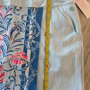 Blue and White Striped Skort with Floral Design